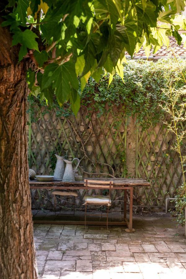 Maison Xixe Et Jardin En Intramuros Avinyon Dış mekan fotoğraf